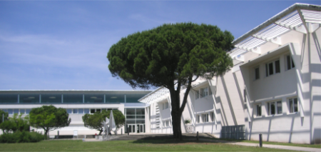 Puis le lycée Cordouan à Royan ou j'y ai obtenu avec fiérté mon Baccalauréat